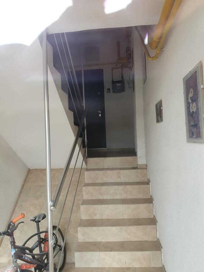R.O.S.E. Apartment 康斯坦察 外观 照片